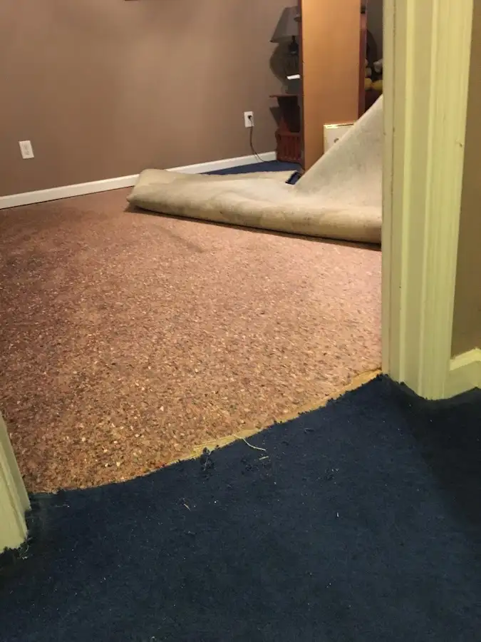 Carpet pad removal revealing water damage during Water Mitigation Services in Ansonia