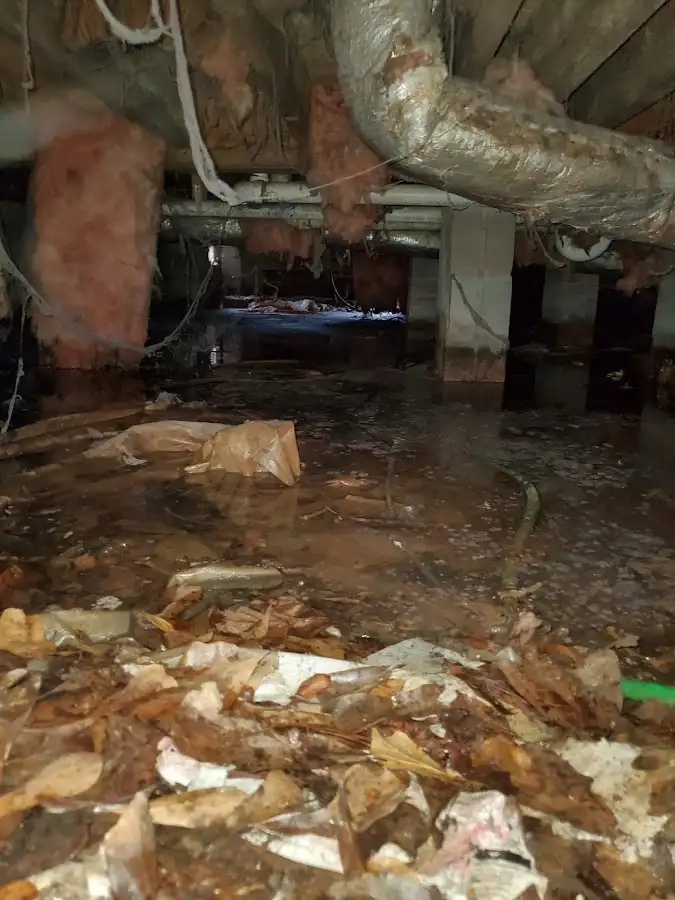 Crawl space flood assessment for Commercial Water Damage Restoration in Ansonia