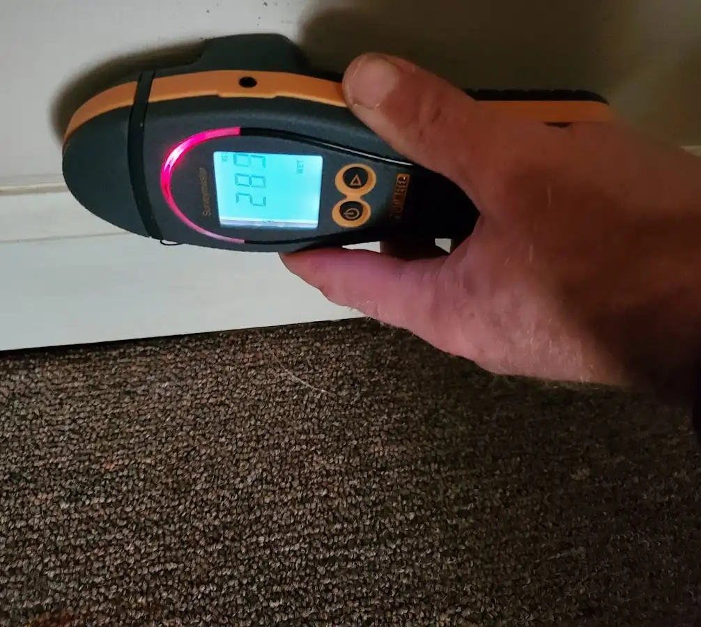 Moisture detection at baseboard during Mold Inspection & Testing in Ansonia